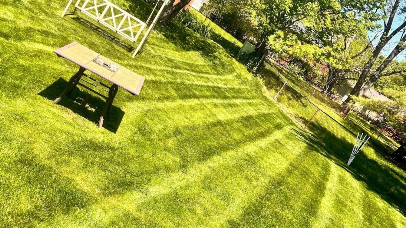 Featured Lawn Mowing service project