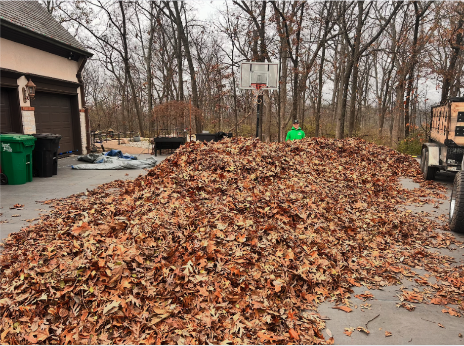 Featured Leaf and Property Clean Ups service project