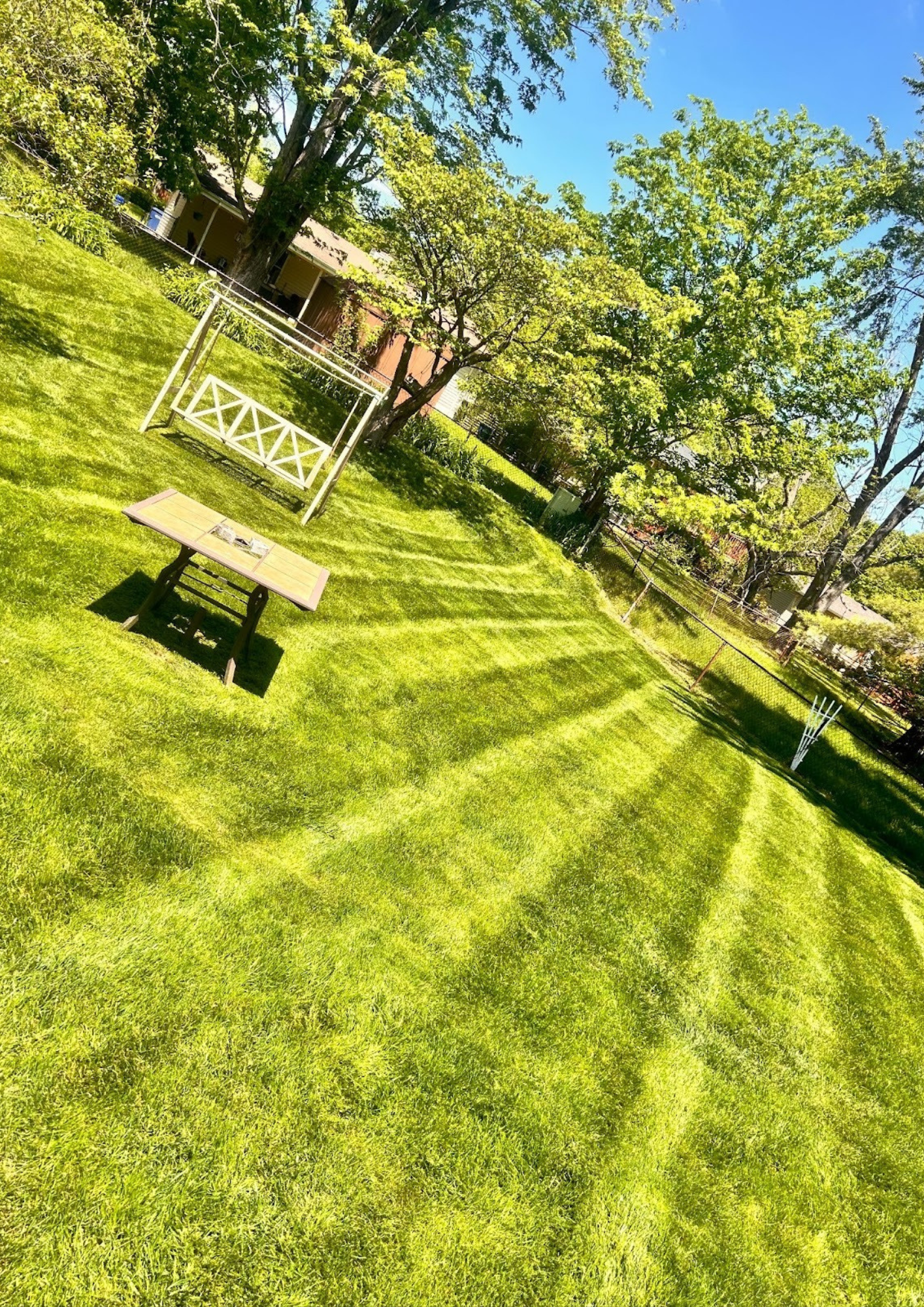 Freshly striped backyard lawn